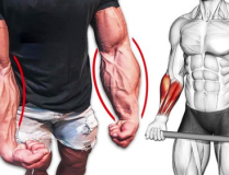 小姐姐手臂肌肉线条画,小姐姐手臂肌肉线条的艺术概述